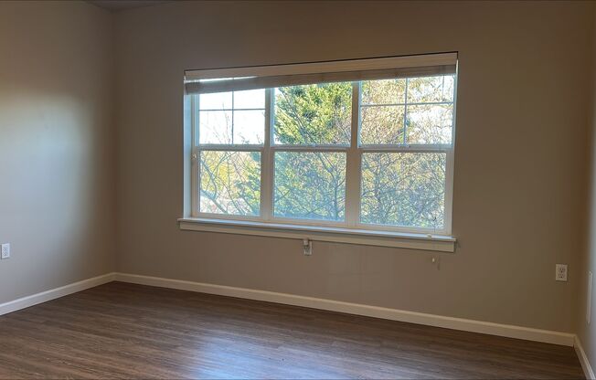 1 bed, 1 bath, 389 sqft, $1,325, Unit 410