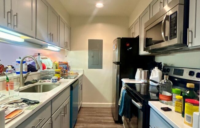 1 bed, 1 bath, 600 sqft, $1,499, Unit 414