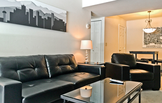 Nicely updated, fully furnished one bedroom condo with short-term lease terms!