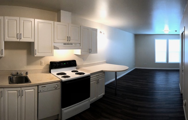 Studio, 1 bath, 500 sqft, $975, Unit 206