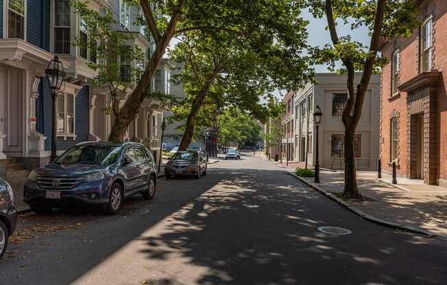 A tree-lined street with cars parked on the side.
