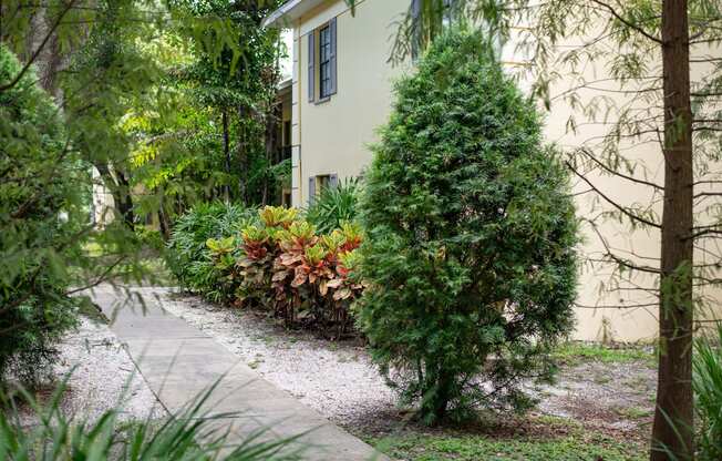 Courtyard View at Fernwood Grove Apartments, Tampa, 33614