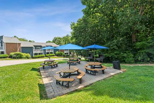 A sunny day at a park with picnic tables and umbrellas.