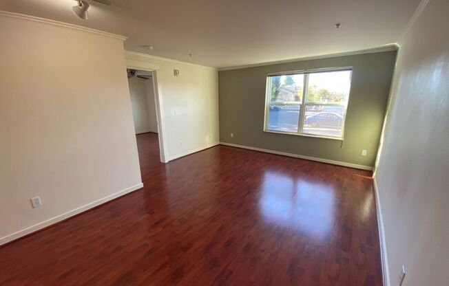 1 bed, 1 bath, 624 sqft, $2,095, Unit #206