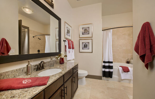 a bathroom with a sink and a toilet and a mirror