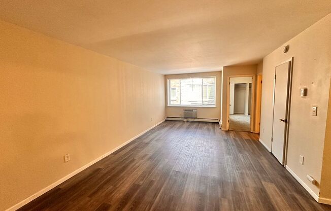 1 bed, 1 bath, $1,225, Unit 309