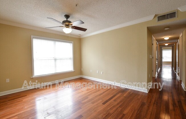 2019 Dixie Belle Drive