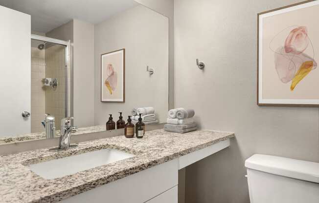 a bathroom with a sink and a mirror and a toilet at Arcadia Apartments, Colorado