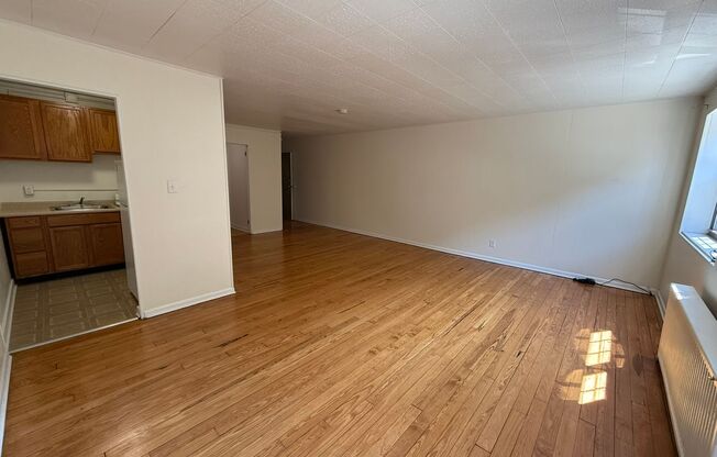 Studio, 1 bath, 487 sqft, $1,250, Unit Fifth 306