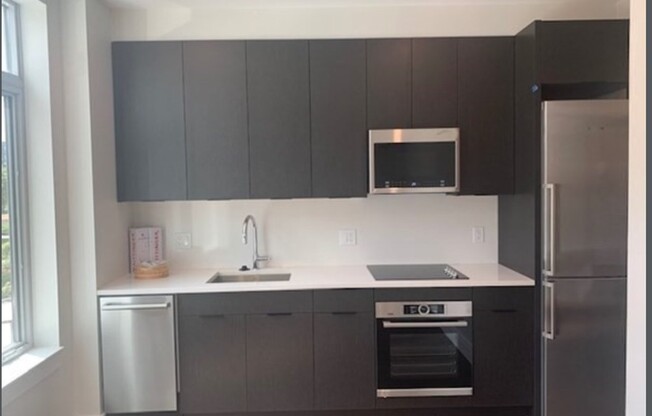 Studio, 1 bath, 445 sqft, $2,650, Unit 208