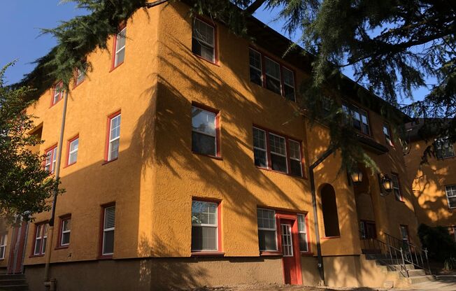 1 bed, 1 bath, 502 sqft, $1,629, Unit 206