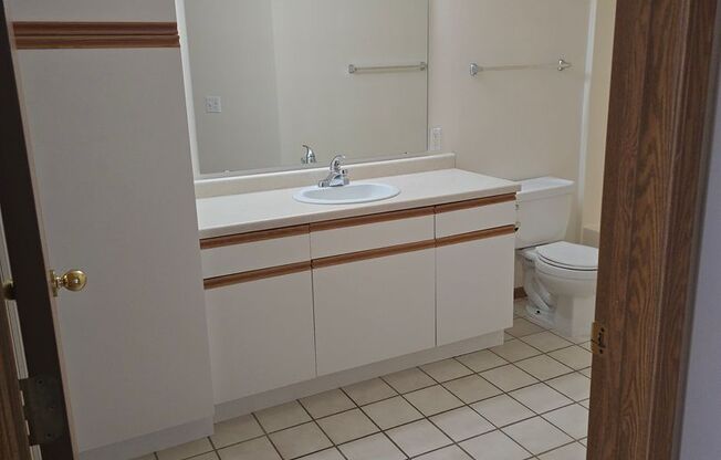 1 bed, 1 bath, 866 sqft, $1,060, Unit 3029-234