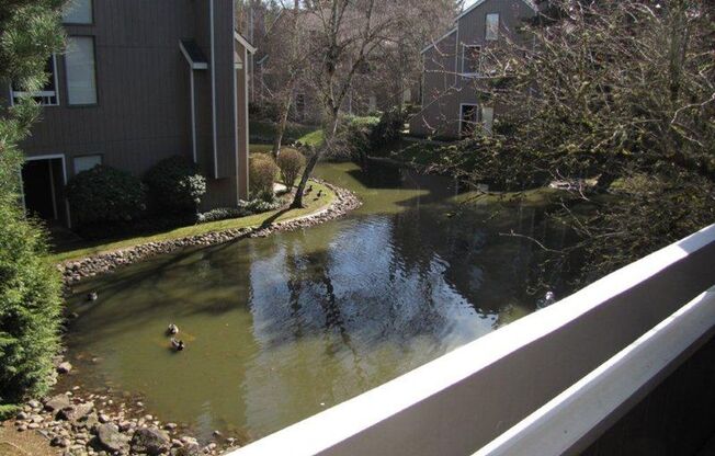 1 bed, 1 bath, 834 sqft, $1,475, Unit 902