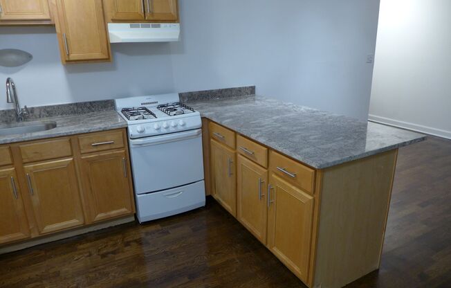 Studio, 1 bath, 475 sqft, $1,025, Unit 203