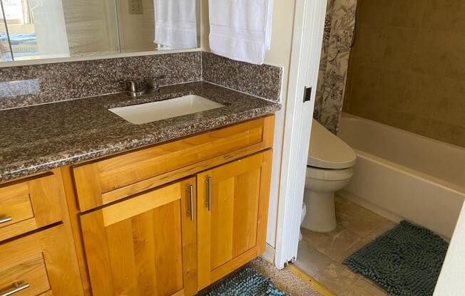 1 bed, 1 bath, 540 sqft, $2,600, Unit # 3405