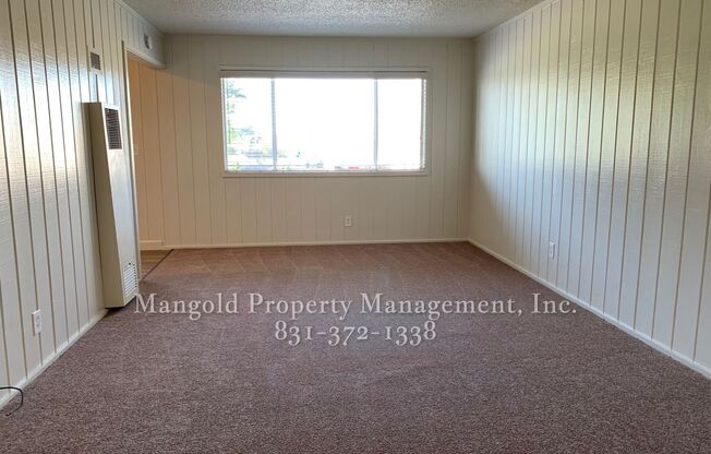 Studio, 1 bath, 515 sqft, $1,650, Unit 49