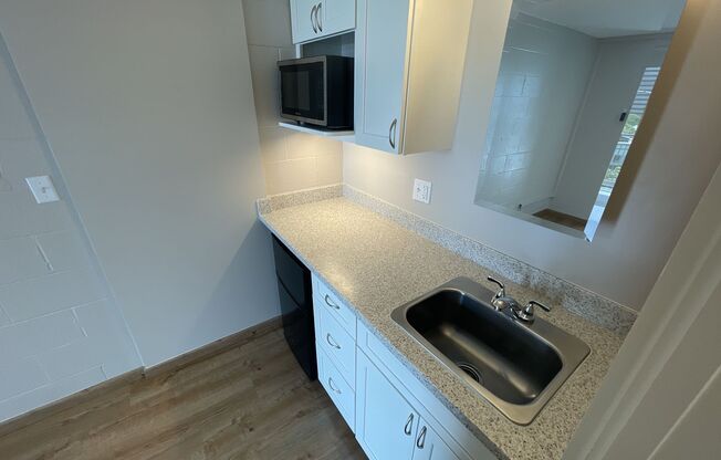 1 bed, 1 bath, 420 sqft, $1,368, Unit 307