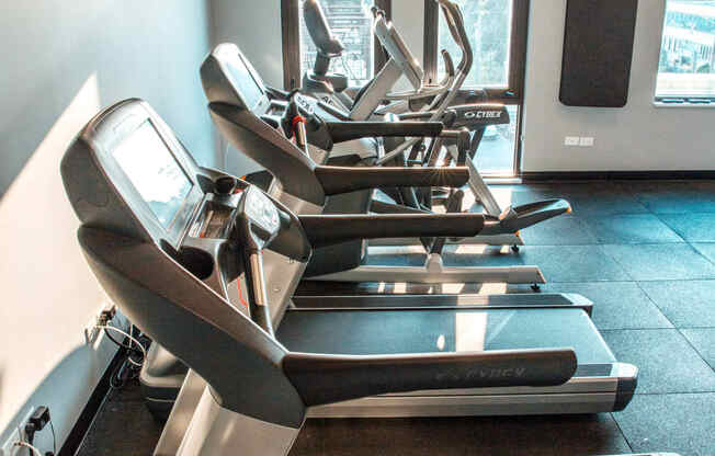 a row of cardio machines in a gym at Barrington 101, Barrington, 60010