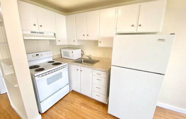 1 bed, 1 bath, 475 sqft, $1,495, Unit 304