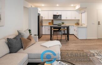 2 beds, 2 baths, 914 sqft, $3,595, Unit 204