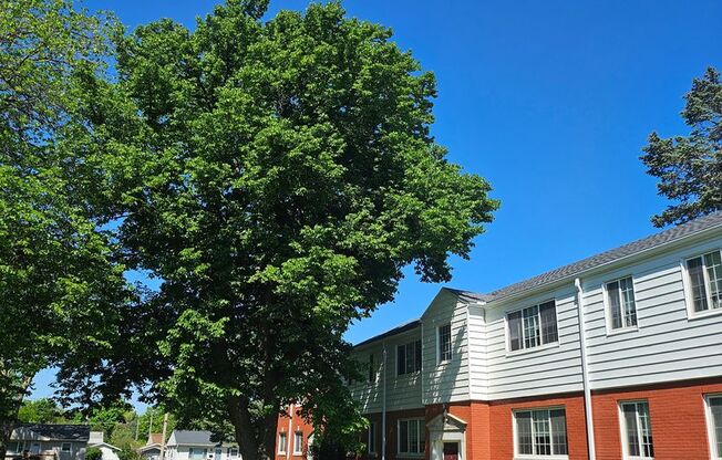 2 beds, 1 bath, 713 sqft, $995, Unit 8A