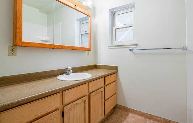 Bathroom with wood cabinetry and brown granite countertop