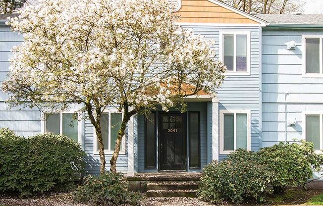 Rich, 1950's Styling with Updated Conveniences - Excellent Forest Park Location