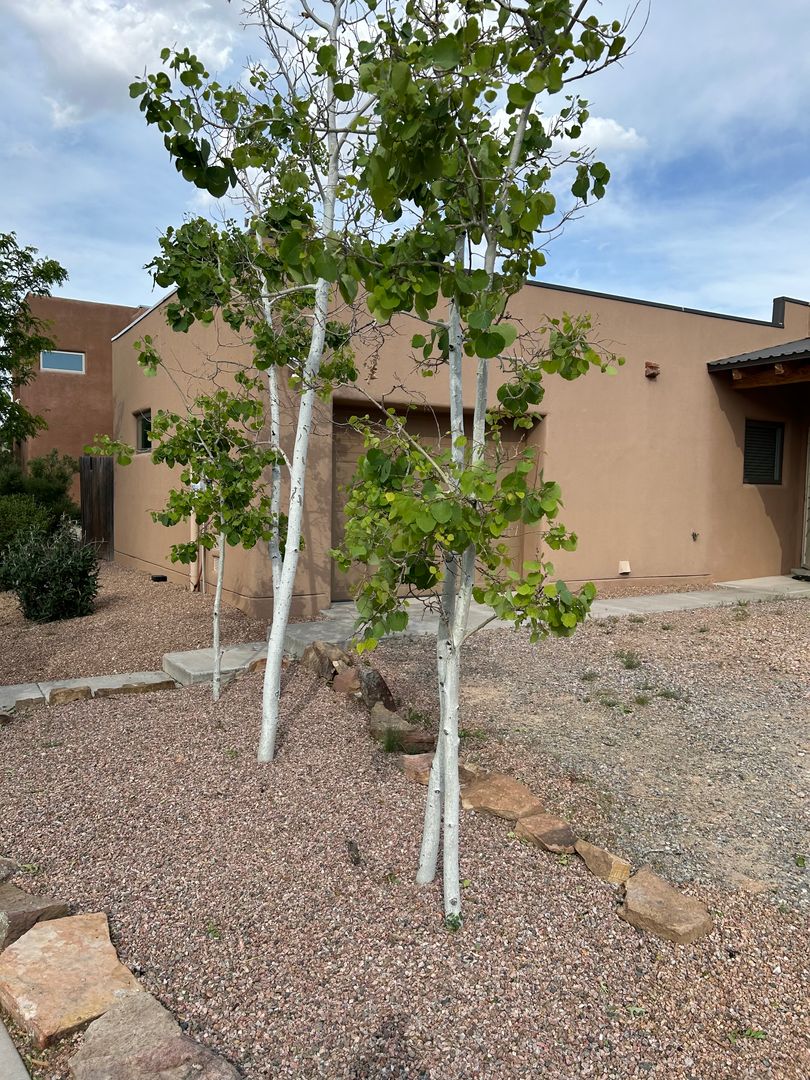 7603 Mesa Del Oro Lane - Tierra Contenta!