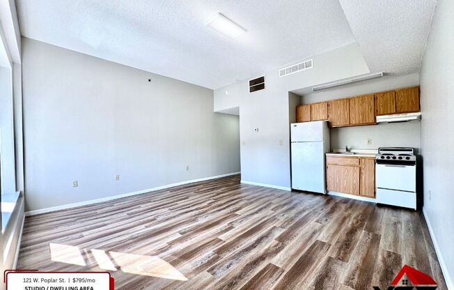 Studio, 1 bath, 500 sqft, $795, Unit 602