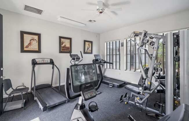 gym with exercise equipment and windows in a home gym at St. Augustine Estate, Texas 75227