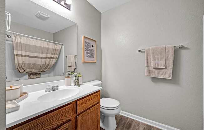 Bathroom With Wood-Style Flooring