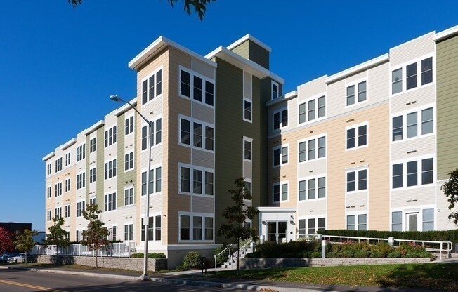 1 bed, 1 bath, 787 sqft, $3,200, Unit 206