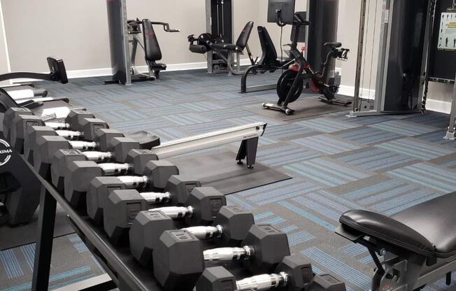 free weights in fitness center