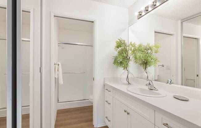 a bathroom with a sink and a mirror and a shower