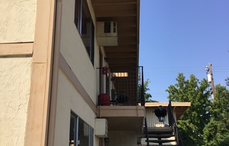 FO536 -Kooner, Dalbir