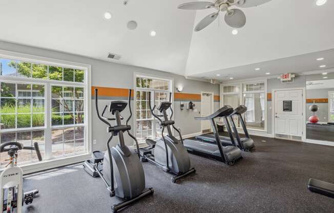 the gym at 1861 muleshoe road