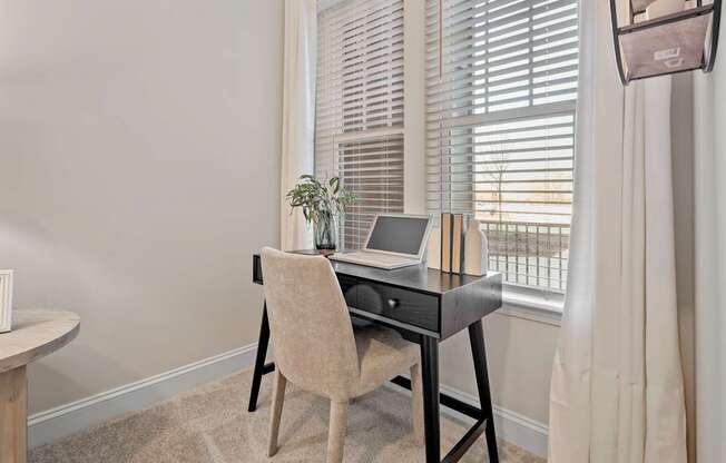 A chair is in front of a desk with a laptop and a plant on it.