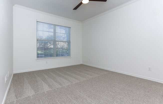 A room with a carpeted floor and a window with blinds.