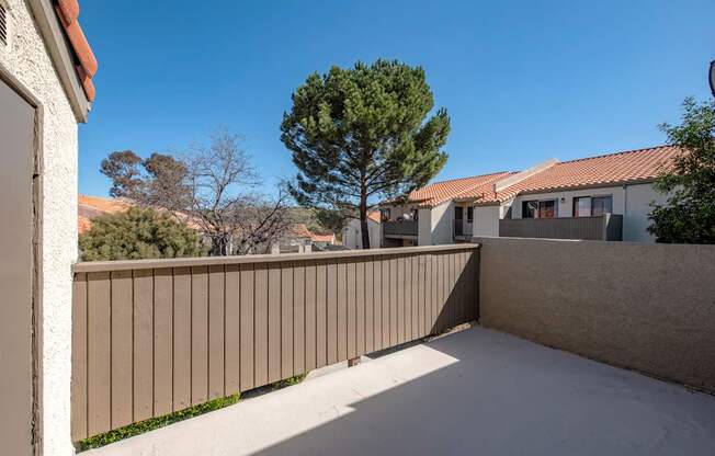 A tree stands in a courtyard with a building in the background.