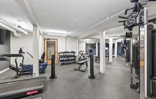 A gym with a treadmill, weights, and exercise equipment.