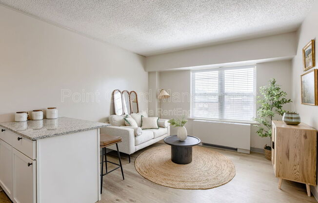 Studio, 1 bath, 329 sqft, $695, Unit 529