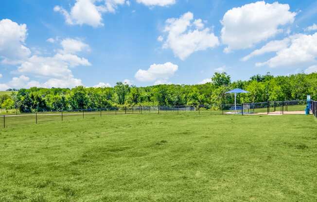 Harmony Luxury Green Space Apartment near Dallas Fort Worth