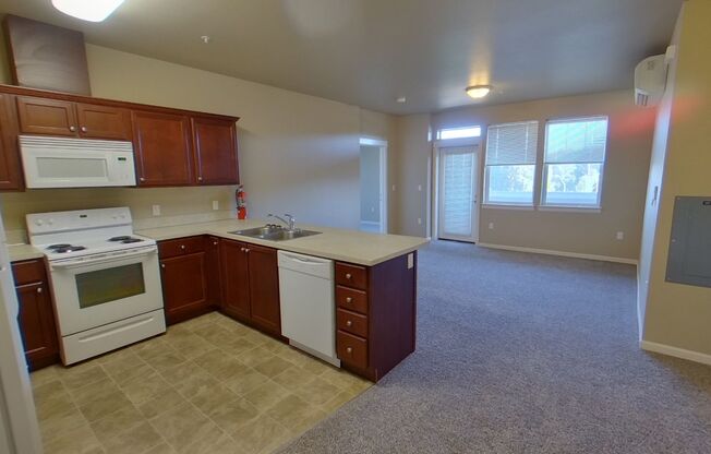 2 beds, 2 baths, 700 sqft, $1,800, Unit 207