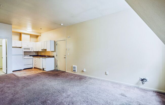 Studio, 1 bath, 438 sqft, $1,100, Unit 1005