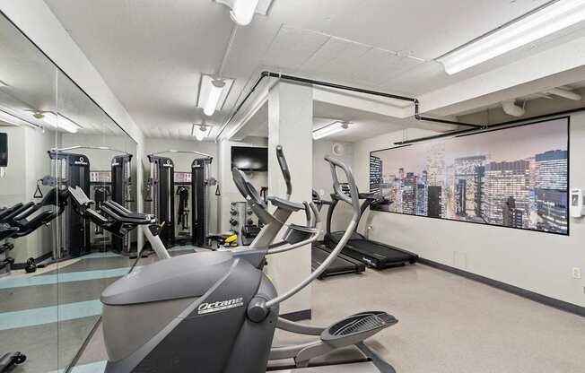 the gym is equipped with treadmills and other exercise equipment