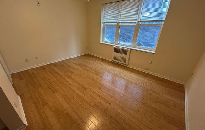 Studio, 1 bath, $825, Unit 111