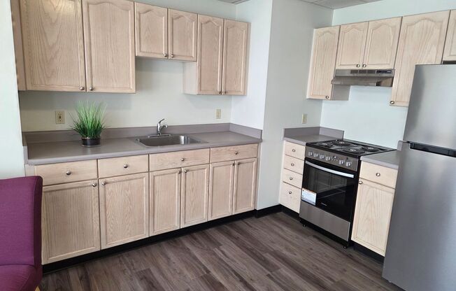 1 bed, 1 bath, 500 sqft, $1,590, Unit 807