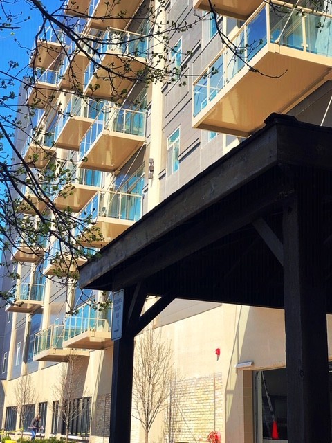 1 bed, 1 bath, 747 sqft, $1,800, Unit 310