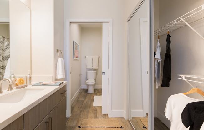 a bathroom with a sink and a toilet and a closet