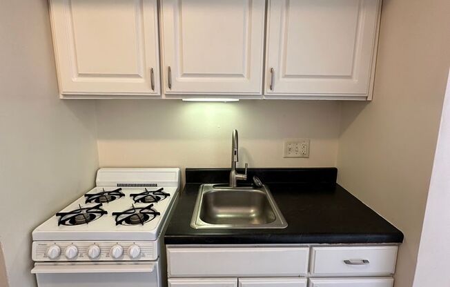 Studio, 1 bath, $750, Unit 310